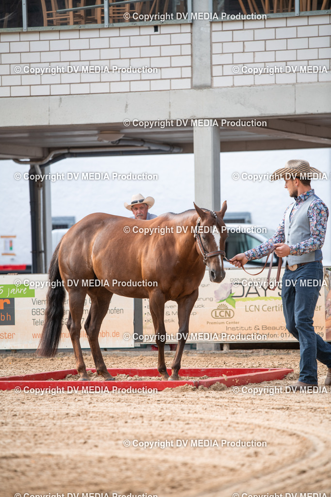 EWP_5541 | dv-media-shop - Realisiert mit Pictrs.com