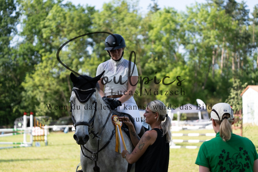 A7V06681 | Pferdefotograf