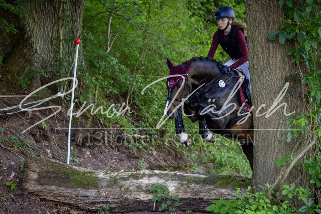 20260523-_3LI6059 | Tierfotografie Pferde, Hunde, Katzen, Haustiere.
Turnierfotografie Reitturniere, Reiten, Springreiten, Dressur in Hanau, dem Main-Kinzig-Kreis und dem Rhein-Main- Gebiet um Frankfurt