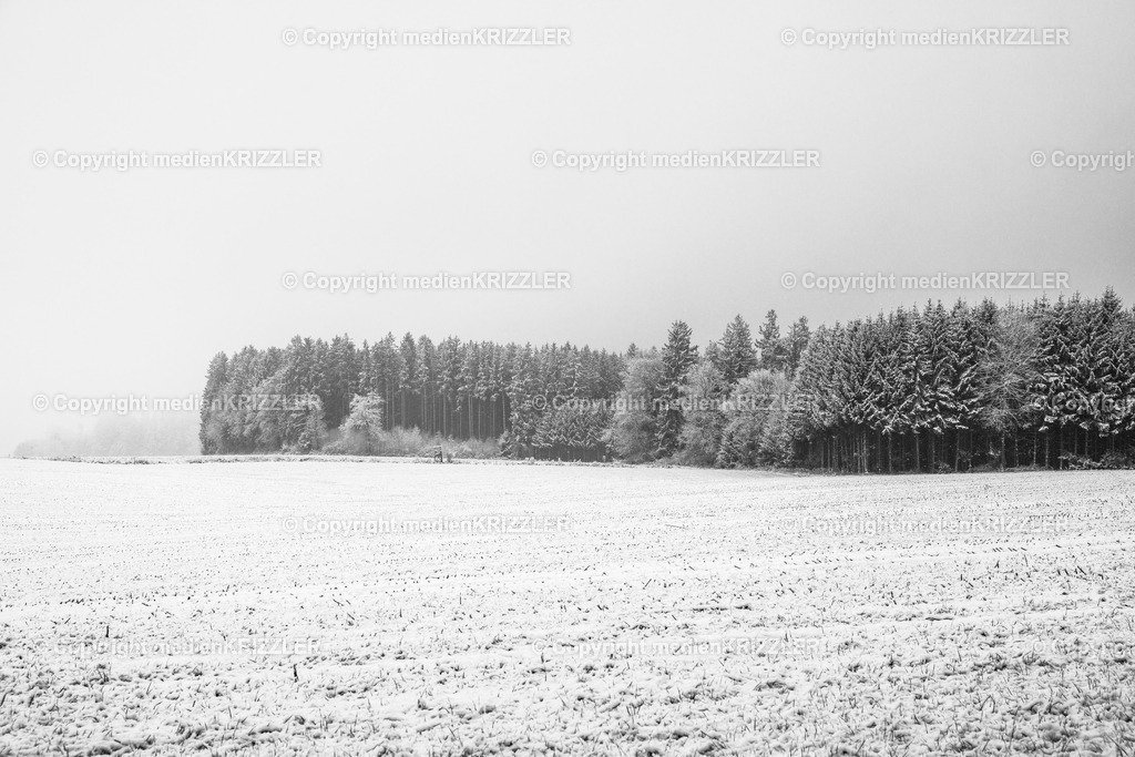 _J3A9476 | medienkrizzler - Realisiert mit Pictrs.com