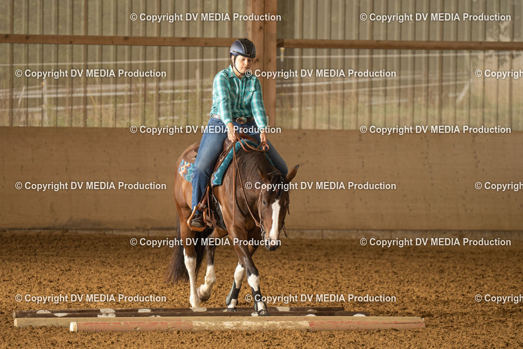 LAU00575 | dv-media-shop - Realisiert mit Pictrs.com