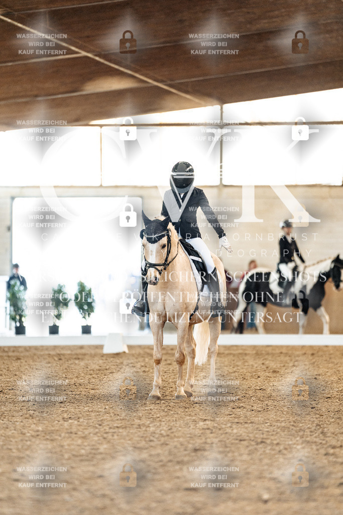CK907578 | Turnierfotografie Pferdefotografie Trier Rheinland-Pfalz Pferdesport Reitsport Tierfotografie Sportfotografie Pferdevideo Pferdevideografie Equestrianvideography equestrianphotography  - Realisiert mit Pictrs.com