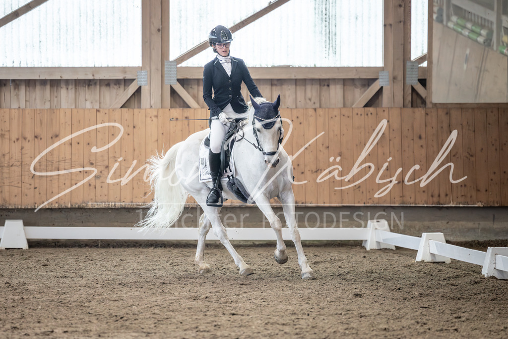 20251011-_3LI7082 | Tierfotografie Pferde, Hunde, Katzen, Haustiere.
Turnierfotografie Reitturniere, Reiten, Springreiten, Dressur in Hanau, dem Main-Kinzig-Kreis und dem Rhein-Main- Gebiet um Frankfurt