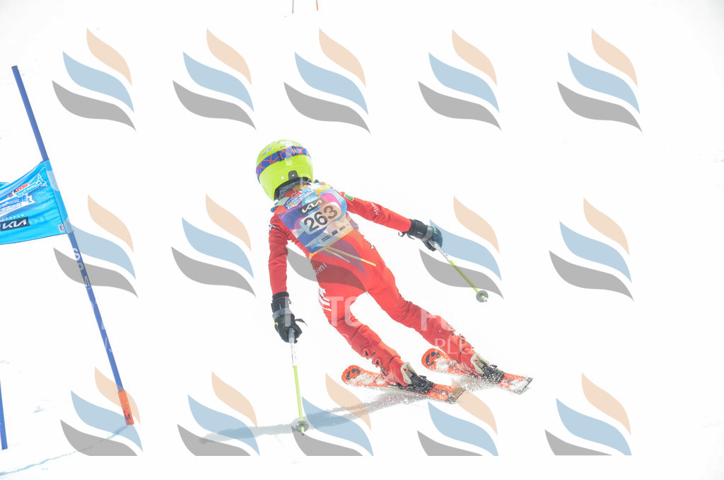 _ELE7698 | holidayphoto