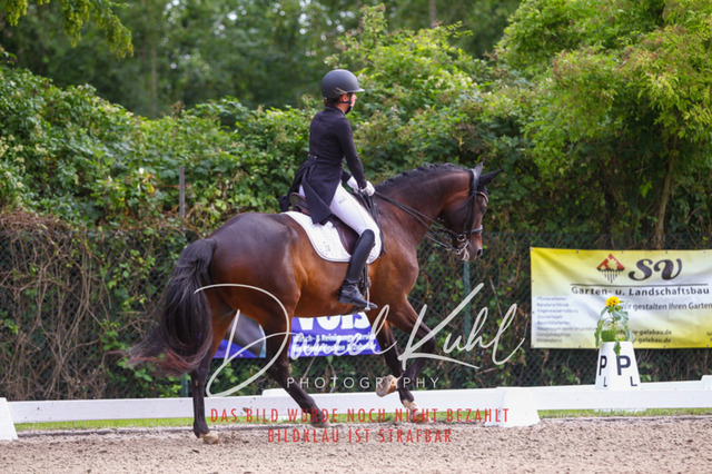 DKP41390 | Turniersportfotografie; Pferdefotografie; Dressurfotografie