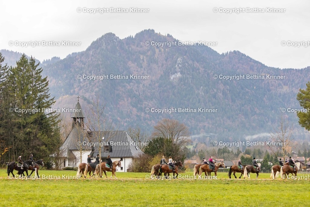 LL25-273 | foto-bettina-krinner - Realisiert mit Pictrs.com