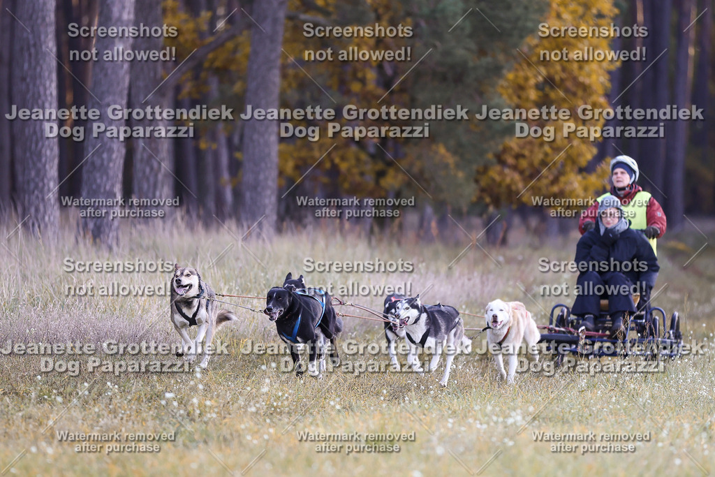 Dog Paparazzi - Elsholz 25 -6 | Dog Paparazzi Jeanette Grottendiek Fotografie & Videografie - Realisiert mit Pictrs.com