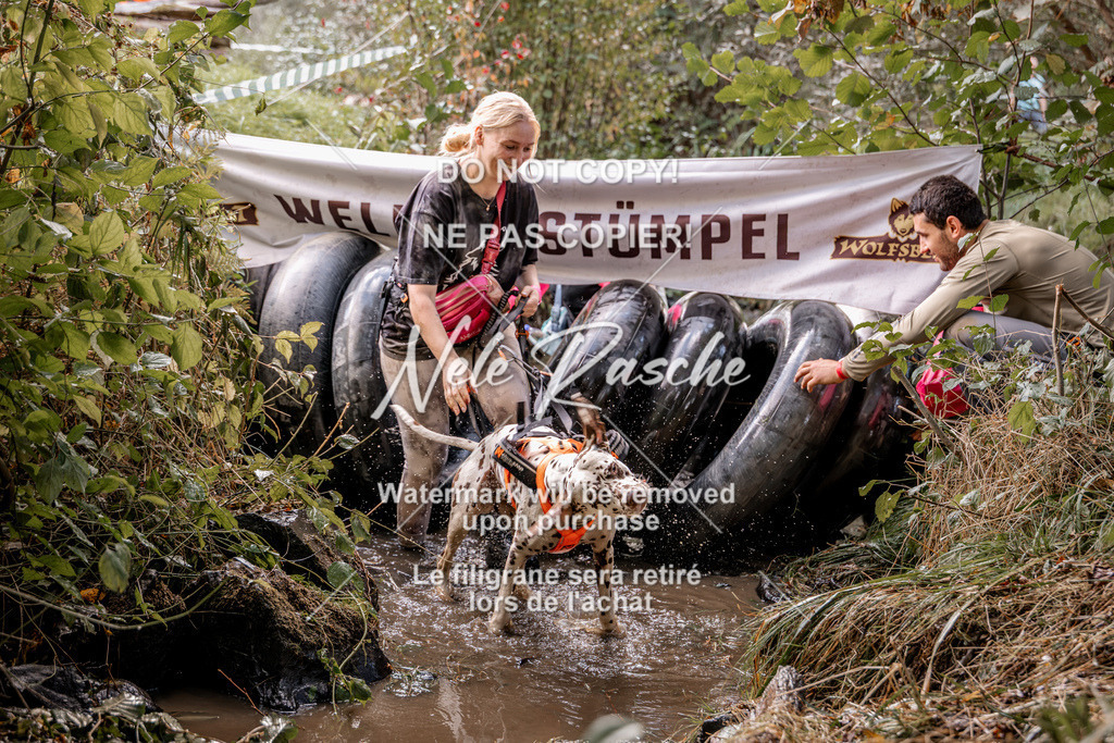 nelerasche_Hunsrück2026_Sa1400-1500_199 | nelerasche