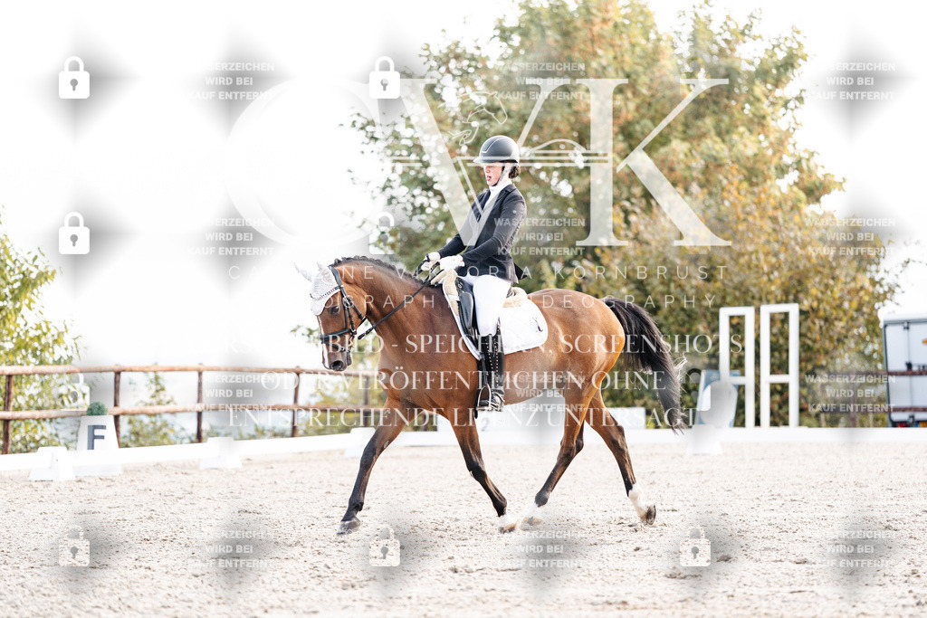 CK900412 | Turnierfotografie Pferdefotografie Trier Rheinland-Pfalz Pferdesport Reitsport Tierfotografie Sportfotografie Pferdevideo Pferdevideografie Equestrianvideography equestrianphotography  - Realisiert mit Pictrs.com