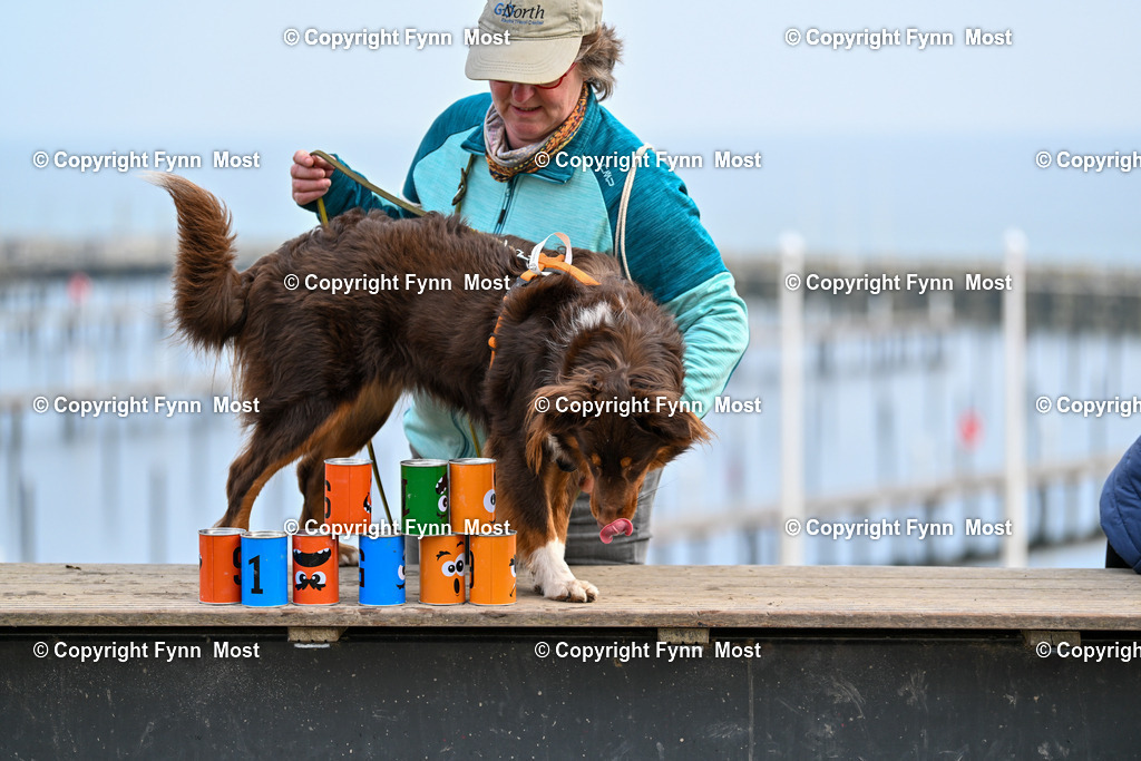 DSC_5417 | Hallo und herzlich Willkommen auf meiner Shop-Seite Fynn Most.

Ich wünsche Dir viel Spaß beim stöbern durch die Bilder, wenn Du Fragen hast oder Bilder vermisst, kannst du mir gerne eine Nachricht schreiben. - Realisiert mit Pictrs.com