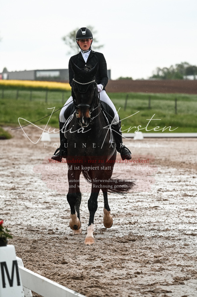 DSC_4339 | Pferde- und Turnierfotografie in Westsachsen. Pferdeportraits, Auftragszeichnungen und intuitive Kunst.