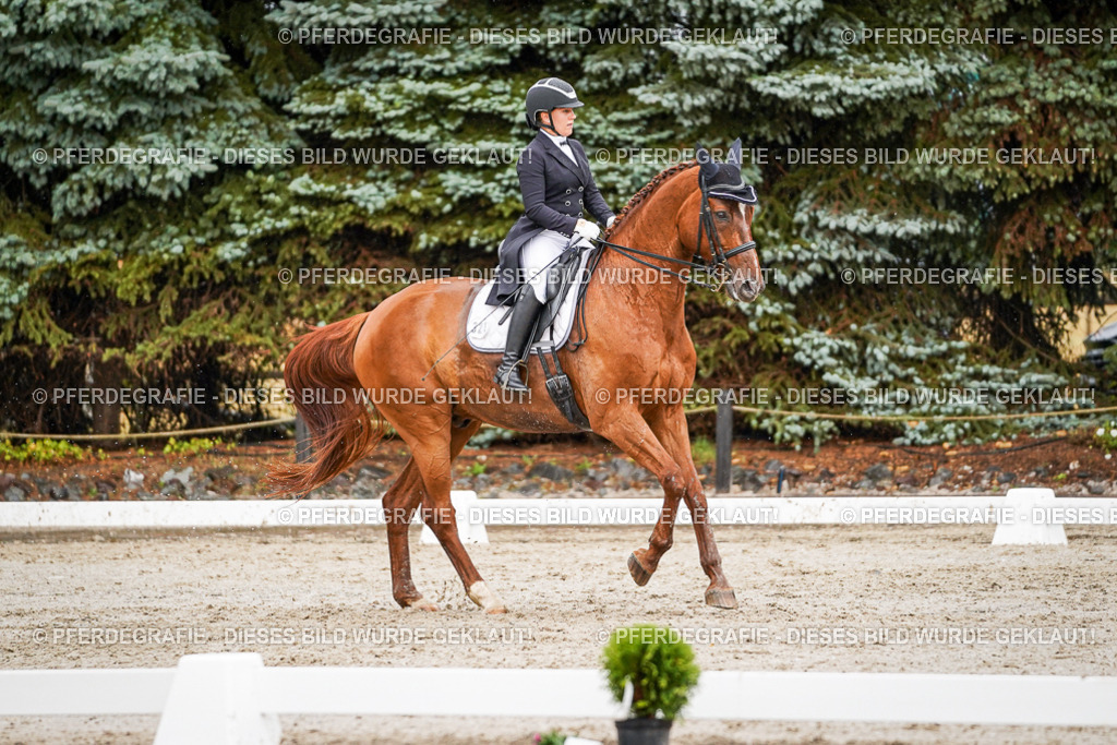 DSC09432 | Pferdegrafie