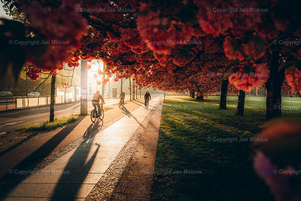 _DSC1771 | Leipzig Wandbilder Drucke Prints Leinwand Stadtmotive Leipzig Fotosdruck Kunstdrucke Bilder Leipzig Stadtansichten Acrylglasbilder Leipzig Wanddeko Fine Art Prints Wandbilder Büro Leipzig Bilder Praxis Zuhause Bilderdruck Poster Posterlounge Kunstdrucke - Realisiert mit Pictrs.com