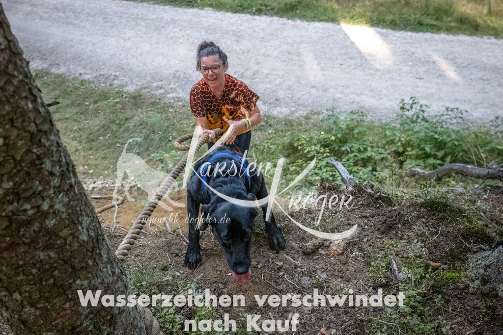 0939_ZZ92533-DeNoiseAI-low-light | kk-dogfotos