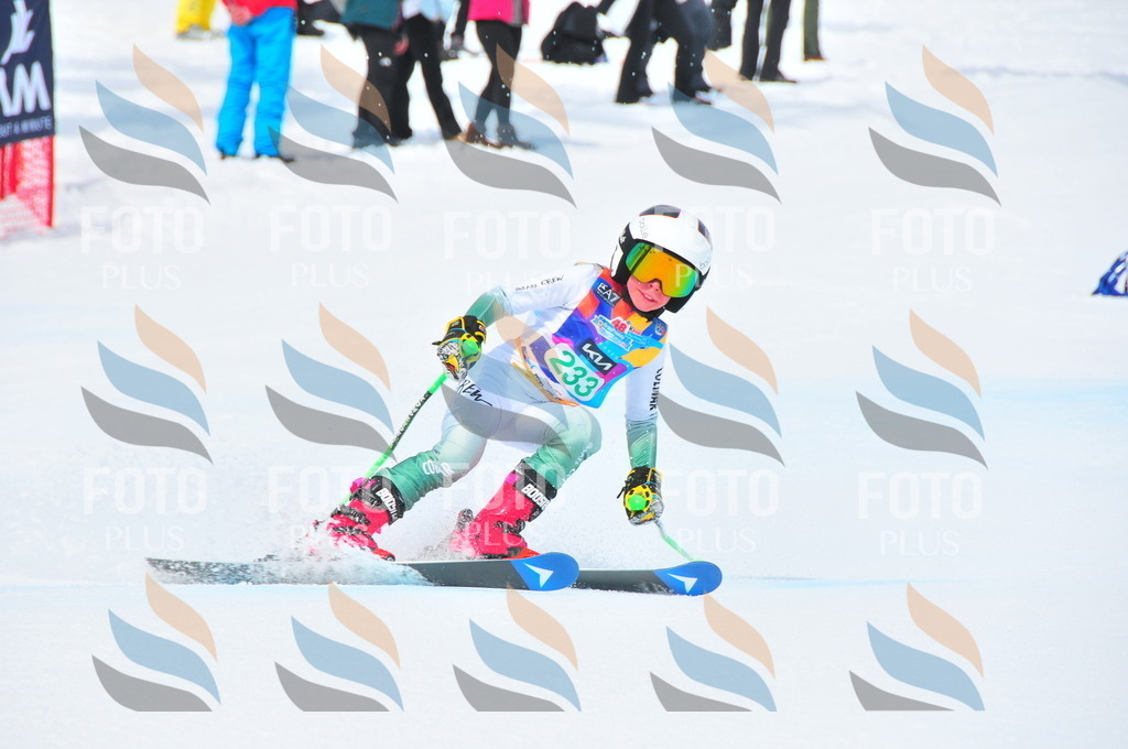 DSC_2164 | holidayphoto