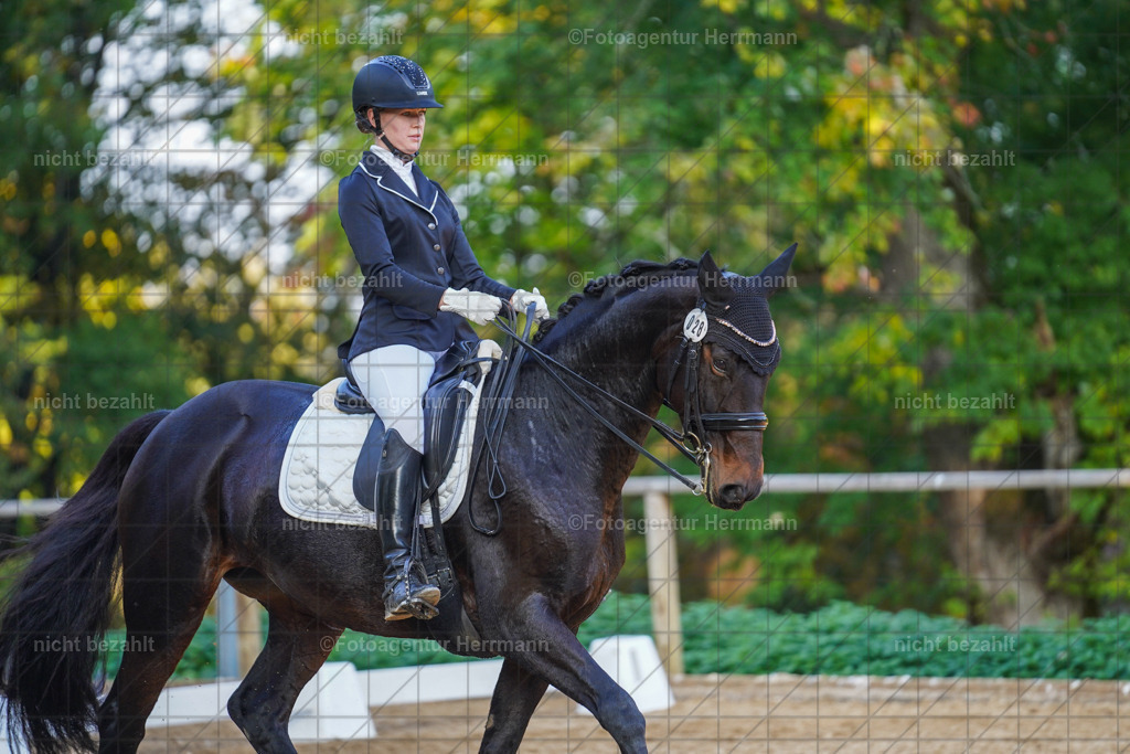 20221007-FAH00428 | Diessen am Ammersee, 2022, Dressur- und Springturnier, Reitsportbilder, Turnierfotografen Bayern, Pferdefotografen, Fotoagentur Herrmann, Turnierbilder