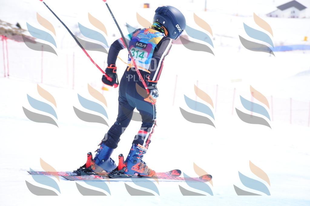 DSC_3041 | holidayphoto