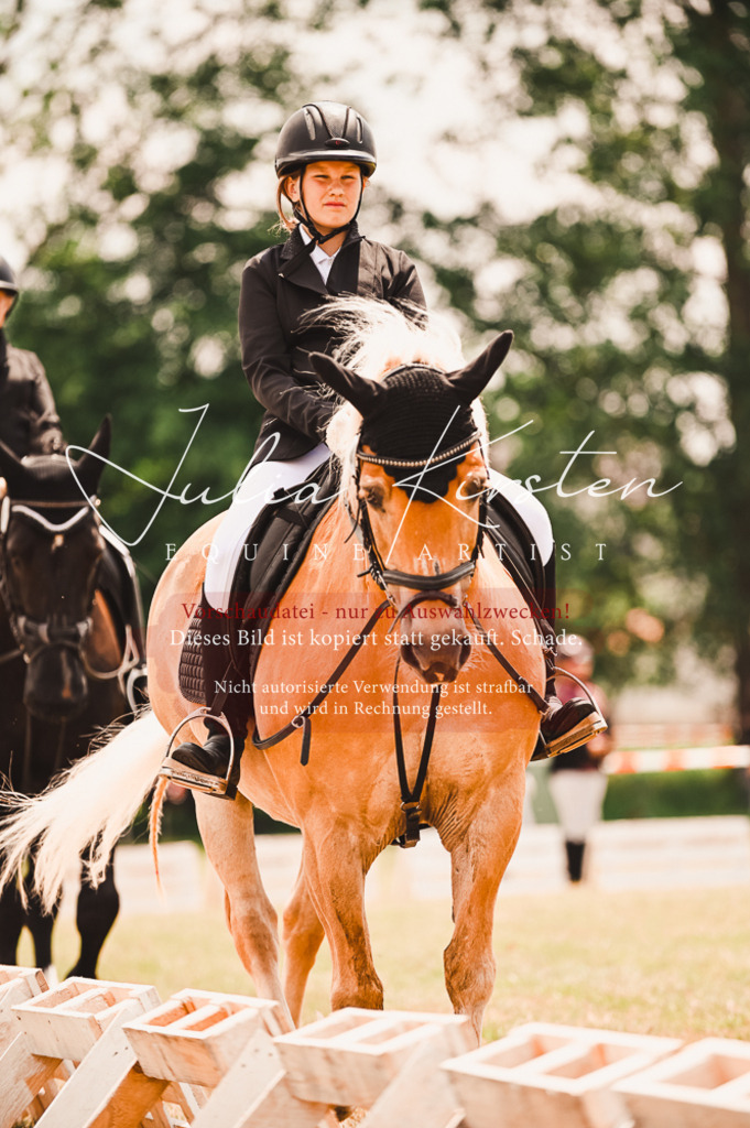 DSC_6286 | Pferde- und Turnierfotografie in Westsachsen. Pferdeportraits, Auftragszeichnungen und intuitive Kunst.
