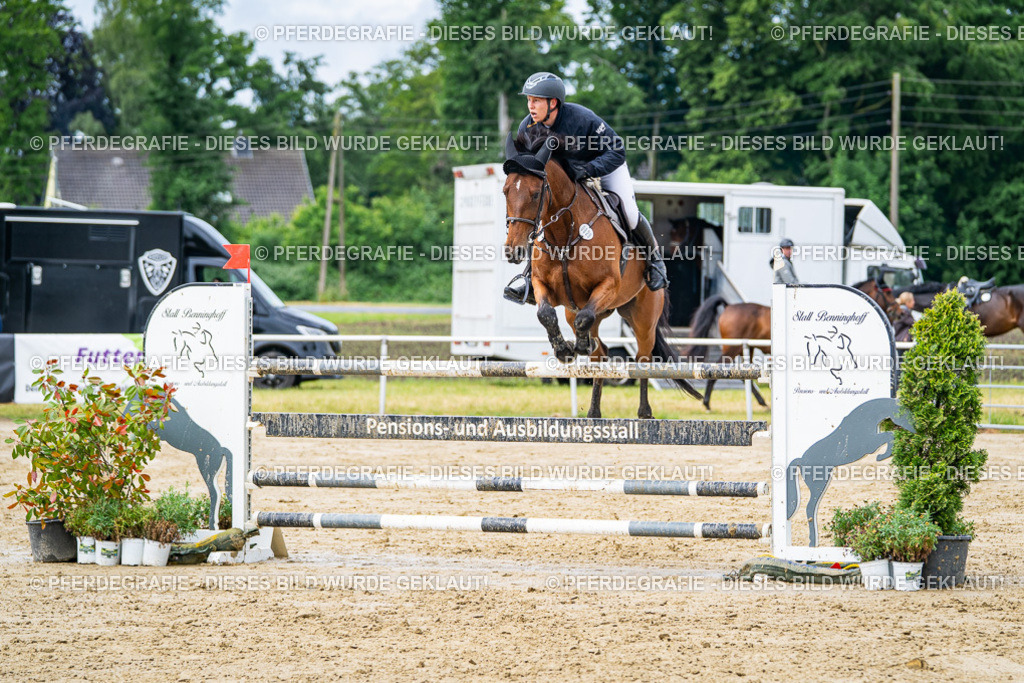 DSC03899 | Pferdegrafie