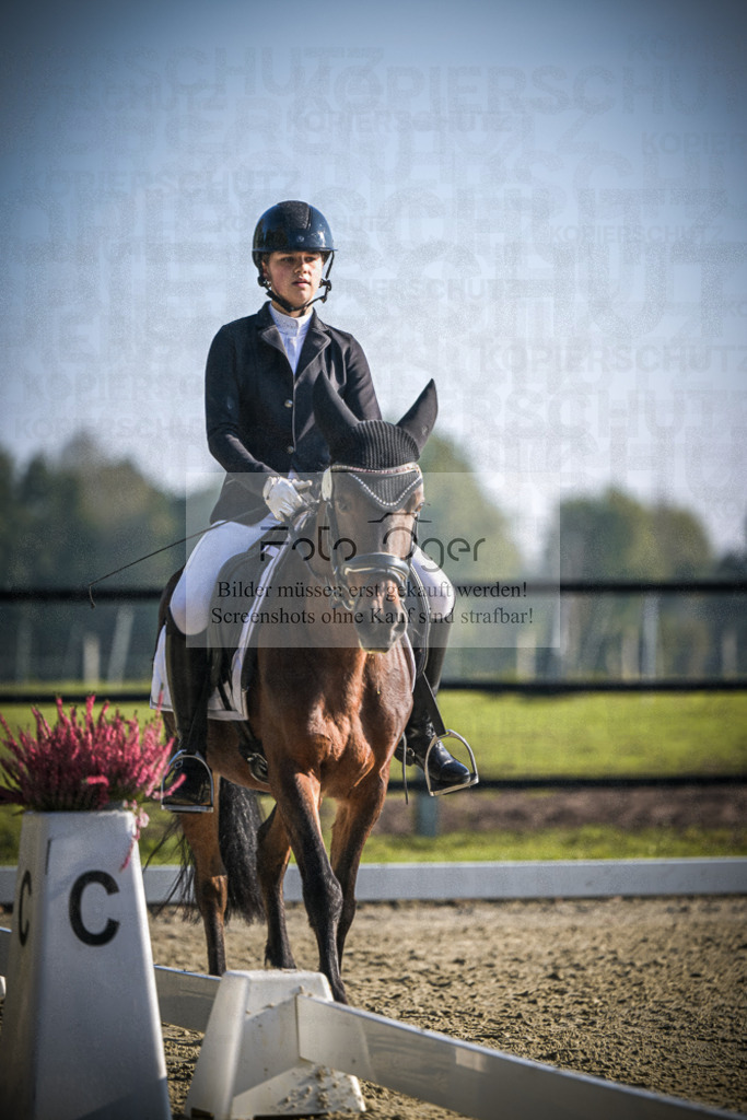 DOS_0680 | Entdecke hochwertige Reitturnierfotos von Foto Oger. Professionell, emotional und authentisch – jetzt Lieblingsmomente im Shop bestellen.Deutschlandweite Turnierfotografie. - Realisiert mit Pictrs.com