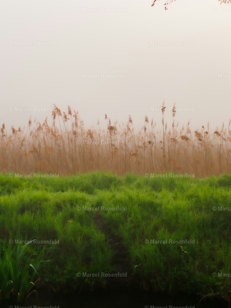 _DSC3139 (1) | foto-rosenfeld