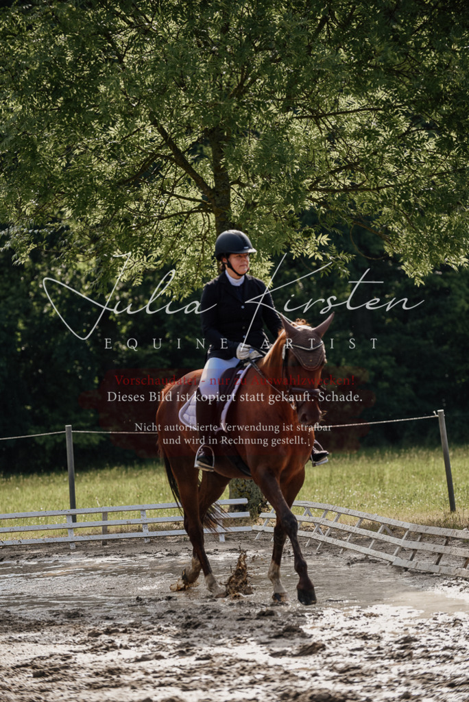 DSC_9223 | Pferde- und Turnierfotografie in Westsachsen. Pferdeportraits, Auftragszeichnungen und intuitive Kunst.