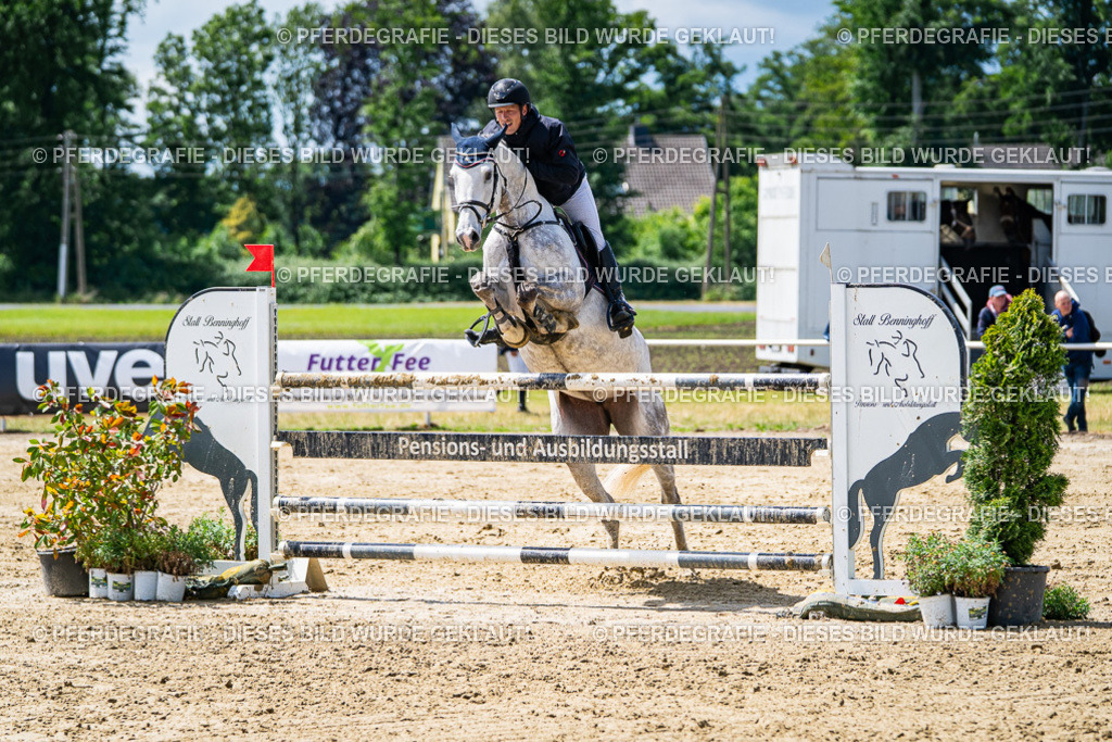 DSC04970 | Pferdegrafie