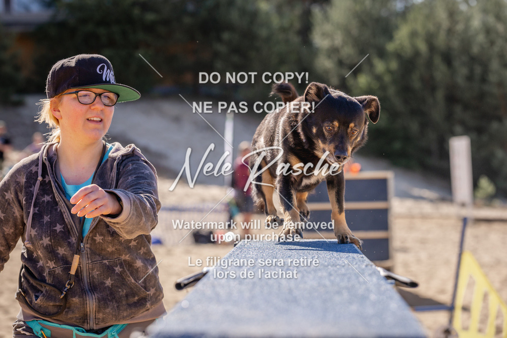 NR__0556 | nelerasche