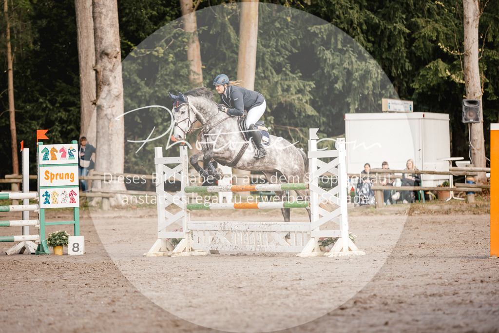 3I6A3432 | Stimmungsvolle Portraits und Reitsportfotografie im Ruhrgebiet und im Münsterland.

Pferdefotografie, Hundefotografie, Tierfotografie, Reportagen, Portraits von Tier und Mensch, Turnierfotografie in Bochum, Recklinghausen, Marl, Haltern am See, Dülmen.. - Realisiert mit Pictrs.com