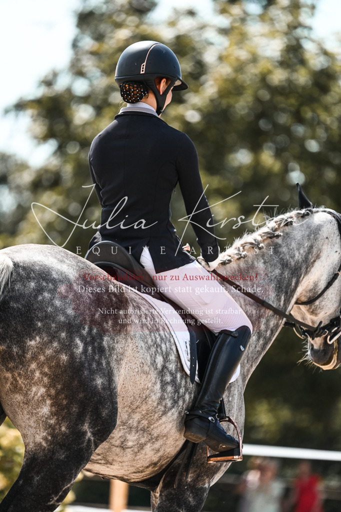 DSC_5590 | Pferde- und Turnierfotografie in Westsachsen. Pferdeportraits, Auftragszeichnungen und intuitive Kunst.