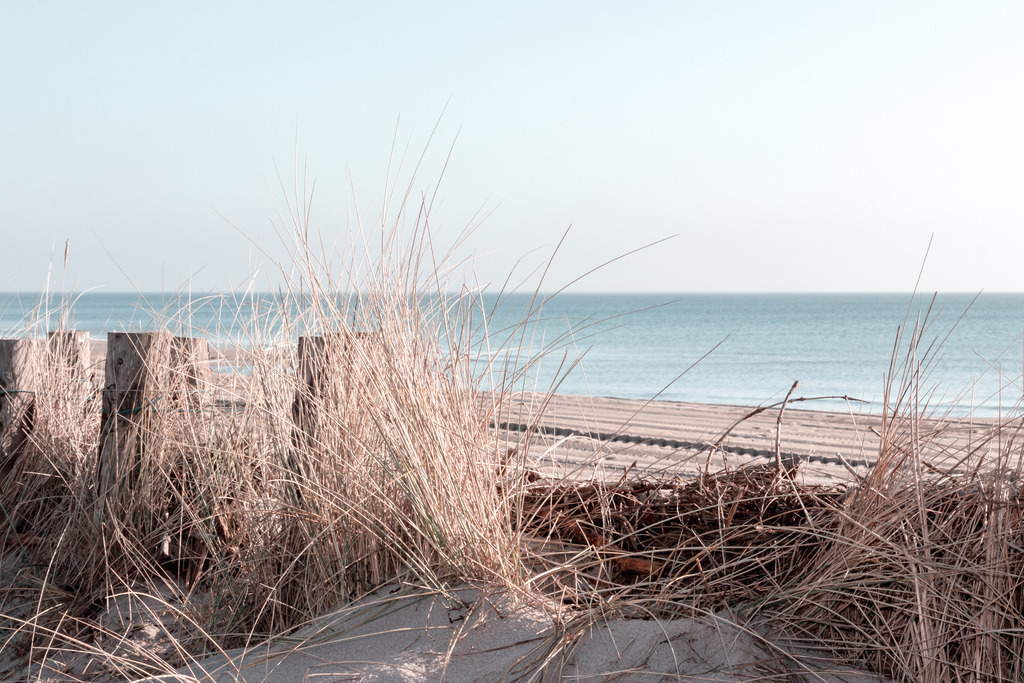 Wandbild: Strandhafer am Meer  | Dieses Wandbild im Querformat zeigt Strandgras auf einen Sandfang am Meer. Das Strandgras ragt in den hellblauen Himmel. Dieses Wandbild ist als Leinwand, als Acrylglas und Aluminium-Platte in vielen Abmessungen erhältlich. Holen Sie sich jetzt Urlaubsfeeling mit pastellartigen Farben für Ihr Zuhause. Ideal fürs Wohnzimmer, Schlafzimmer, Küche aber auch für das Büro oder die Praxis. - Realisiert mit Pictrs.com