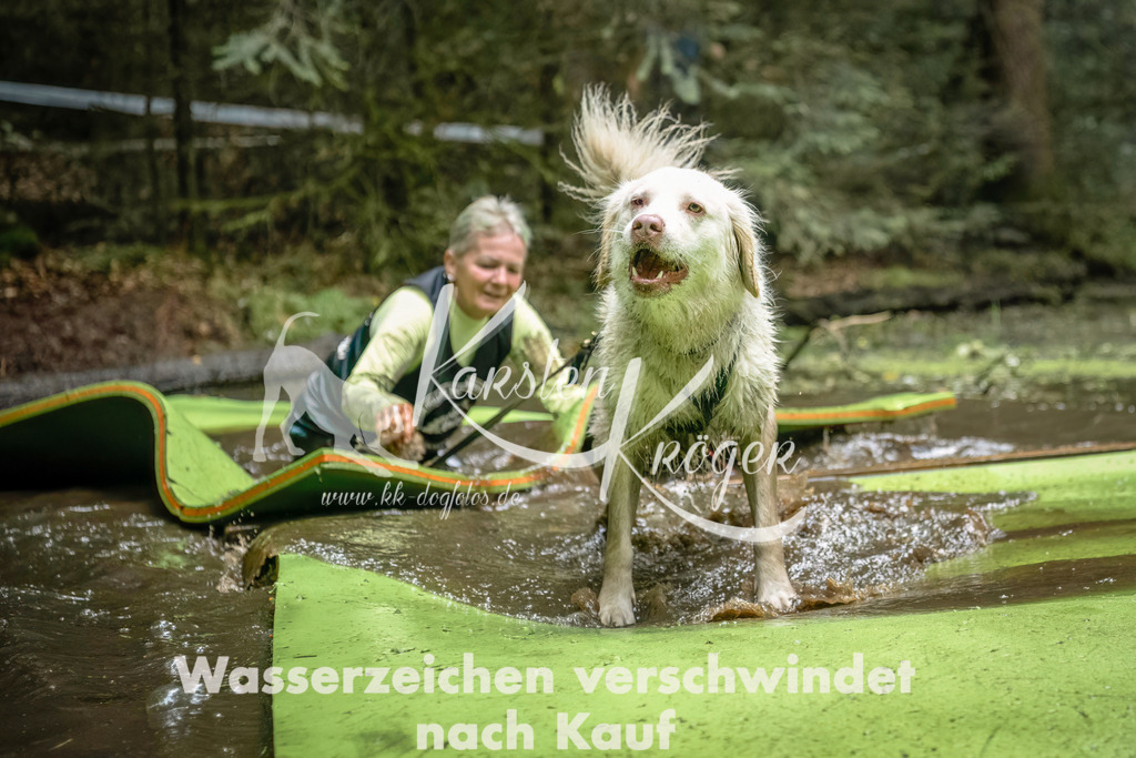 1438_ZZ93070-Bearbeitet | kk-dogfotos