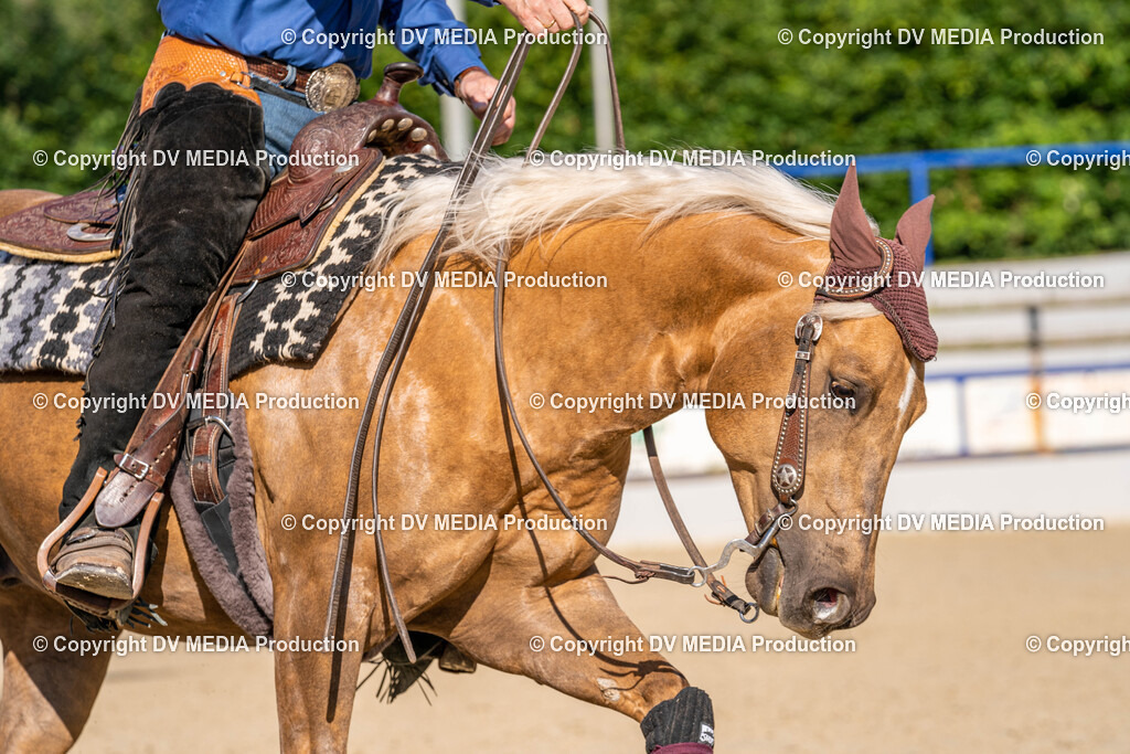 Zeiskam Tag 2-248 | dv-media-shop - Realisiert mit Pictrs.com
