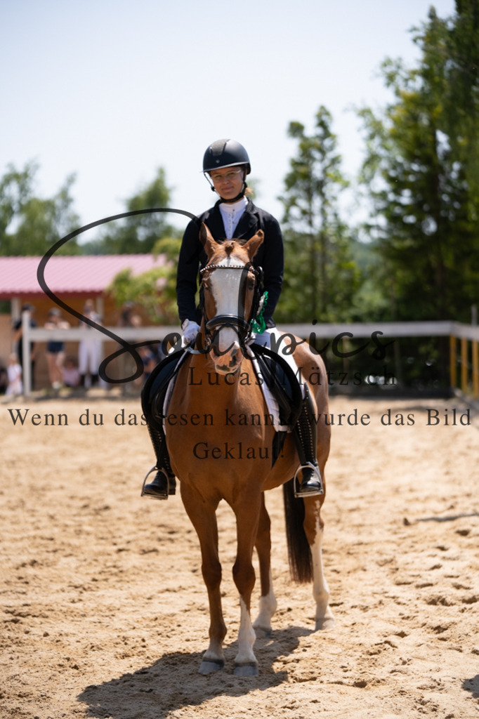 A7V08217 | Pferdefotograf