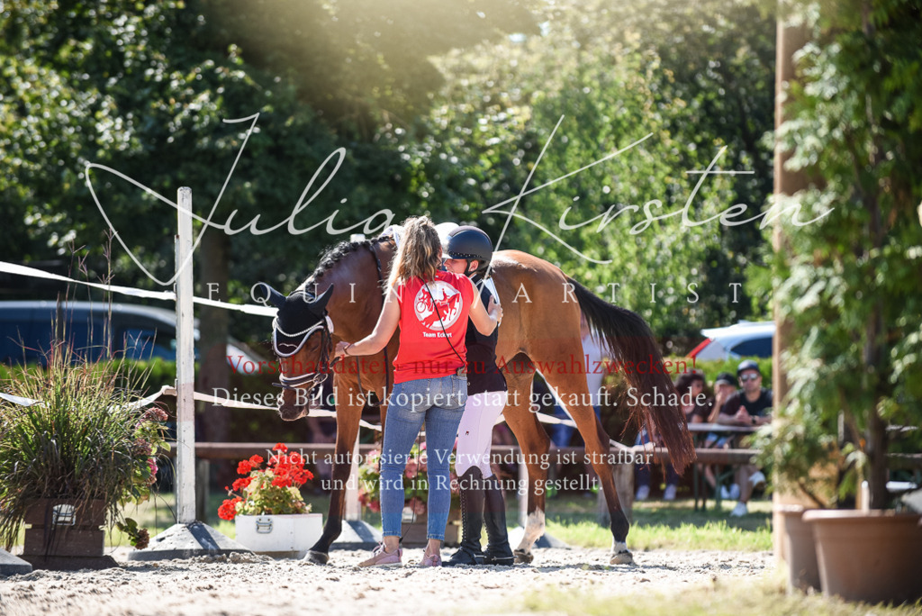 DSC_9583 | Pferde- und Turnierfotografie in Westsachsen. Pferdeportraits, Auftragszeichnungen und intuitive Kunst.