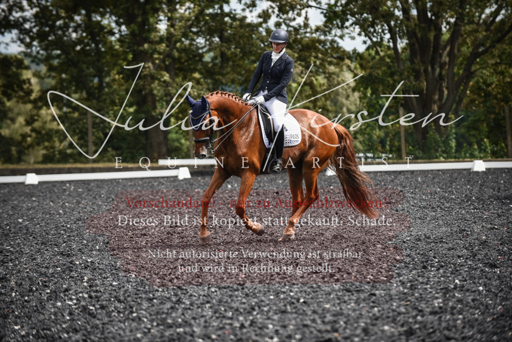 DSC_5050 | Pferde- und Turnierfotografie in Westsachsen. Pferdeportraits, Auftragszeichnungen und intuitive Kunst.