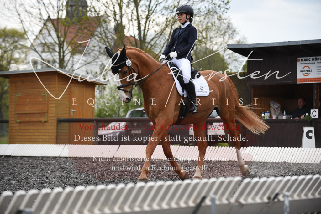 20230513_JK-Röhrsdorf-16-172 | Pferde- und Turnierfotografie in Westsachsen. Pferdeportraits, Auftragszeichnungen und intuitive Kunst.