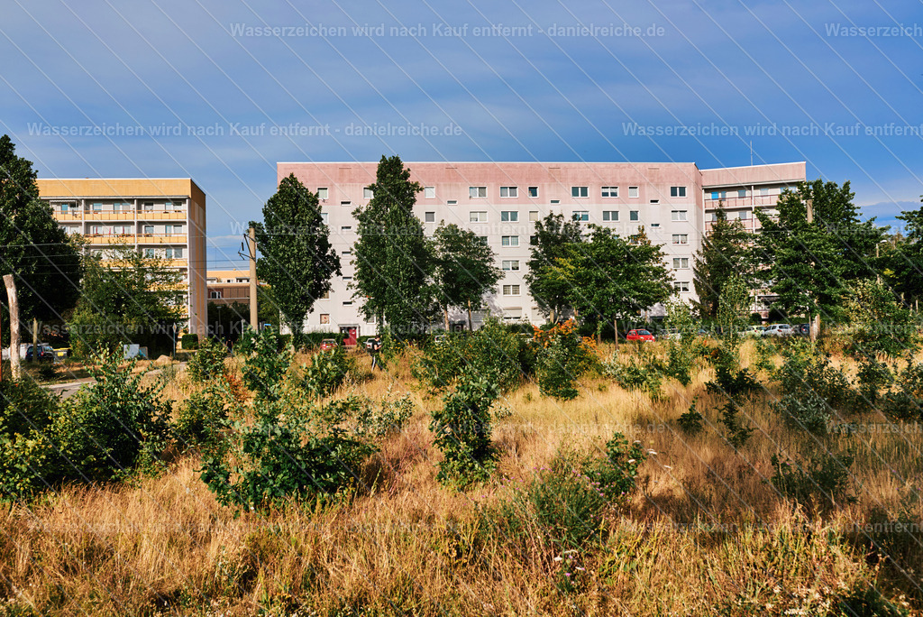 Leipzig Grünau Nord (Sommer 2020) | Leipzig Grünau Nord (Sommer 2020) - Realisiert mit Pictrs.com