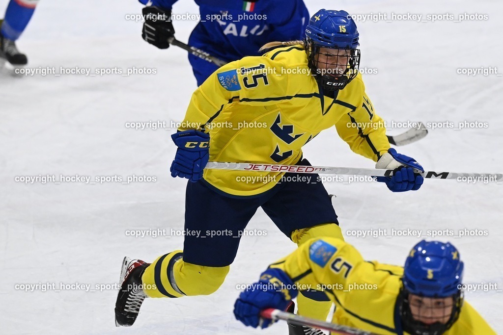 BST_4356 | hockey sports photos, Pressefotos, Sportfotos, hockey247, win 2day icehockeyleague, Handball Austria, Floorball Austria, ÖVV, Kärntner Eishockeyverband, KEHV, KFV, Kärntner Fussballverband, Österreichischer Volleyballverband, Alps Hockey League, ÖFB, 