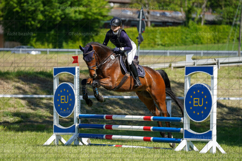 20240518-FAH03069 | rbilder, Turnierfotografen ayern, Fotoagentur Herrmann, Geländeturnier, Springbilder, Dressurbilder, Jungpferdefotograf