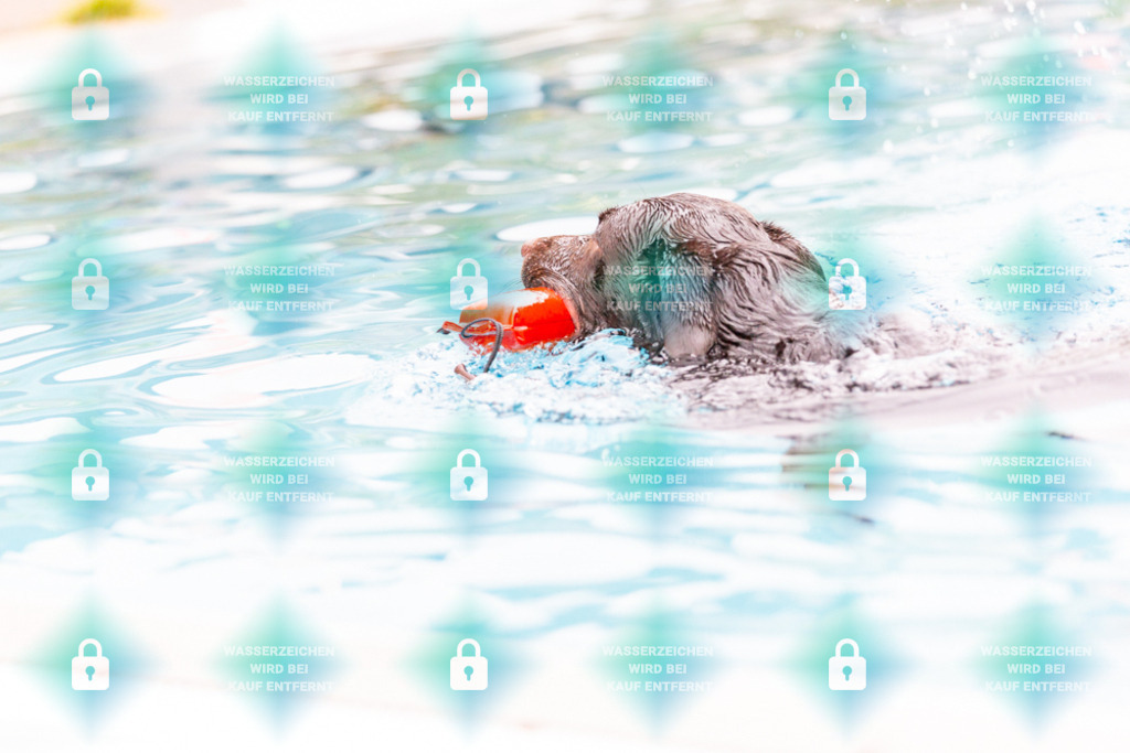 _HP_7279_1000o | HetPix, HetPix Fotodesign, Fotografie, Fotodesign, Webshop, Sportfotografie, Portraitfotografie, Onlineshop, Sportfotografie, Polch, Motorsportfotografie, Eventfotografie