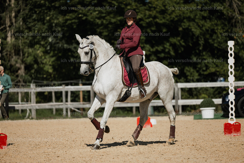 Kelly4_FHC2025-27442 | working equitationturnier fotograf videograf stoibphotography marixx film working equitation deutschland reitsport turnierfotografie eventfotografie equestrian events