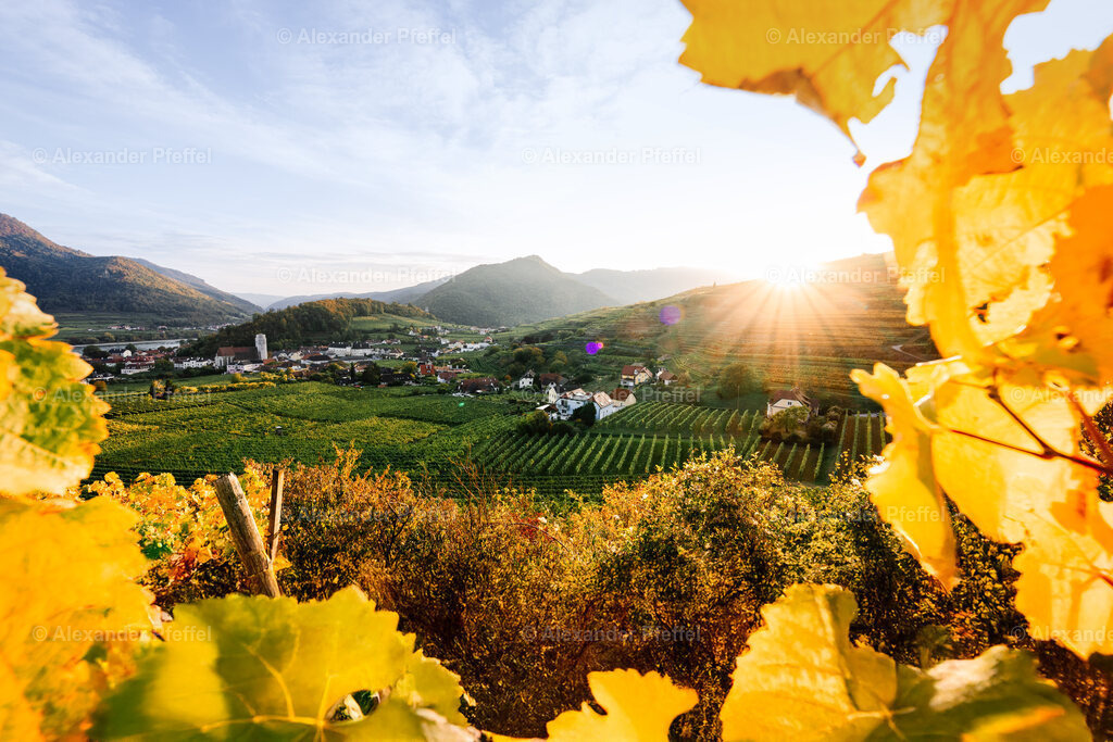 foto_c_pfeffel-partner-0095-R51_0282-Bearbeitet | alexander-pfeffel - Realisiert mit Pictrs.com