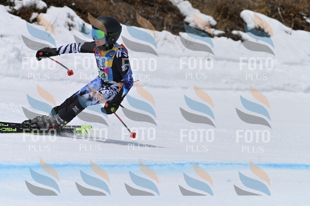 BGV_4165 | holidayphoto