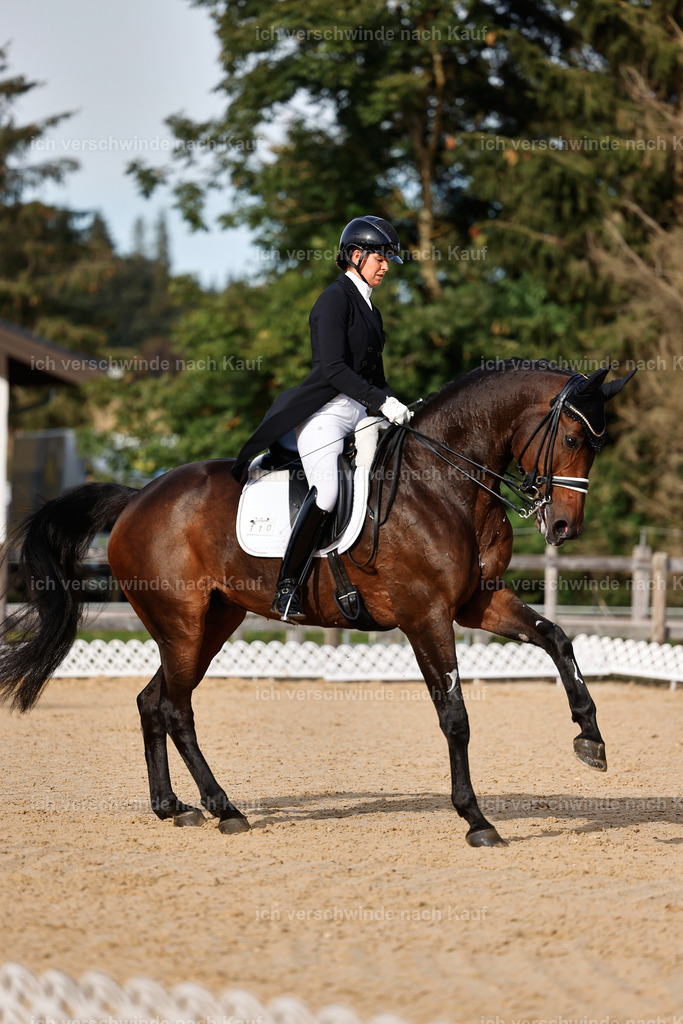 13-110-S___ -StoibPH-6944 | working equitationturnier fotograf videograf stoibphotography marixx film working equitation deutschland reitsport turnierfotografie eventfotografie equestrian events