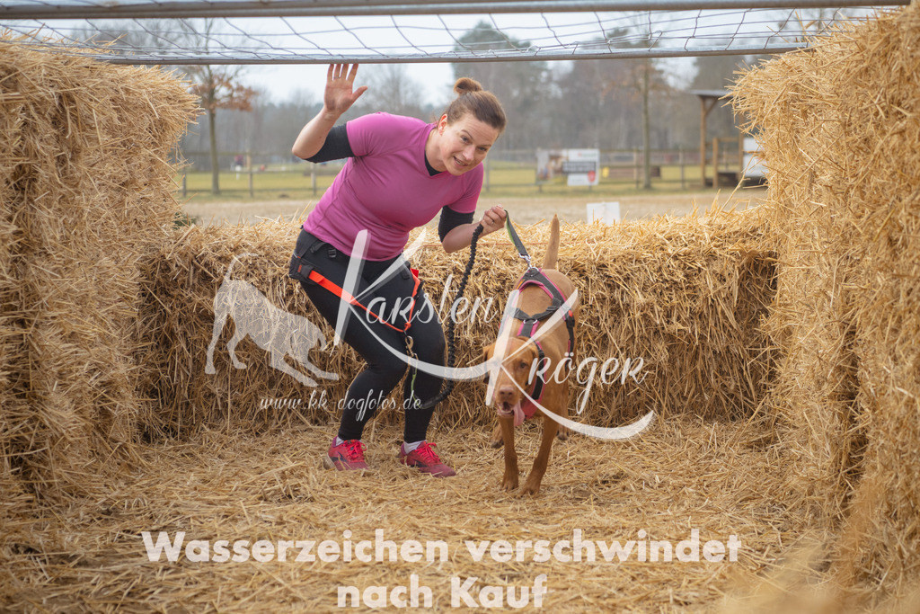 1000_ZZ91601 | kk-dogfotos