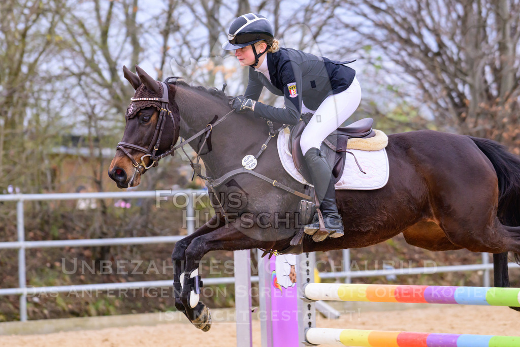 10042026-Mammendorf-Prfg16-0555 | Fokus Hufschlag Fotografie - Realisiert mit Pictrs.com