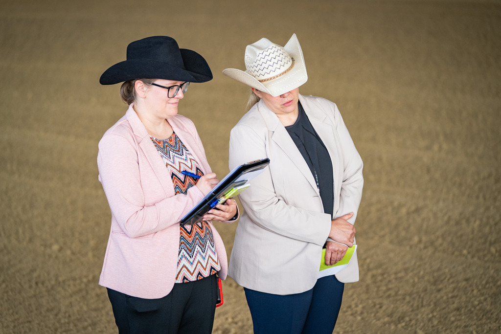 DSC07416 | Pferdegrafie