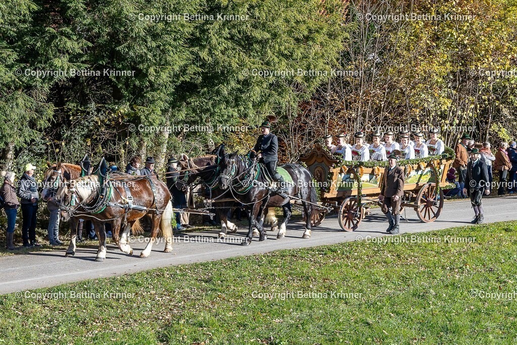 LBT25-85 | foto-bettina-krinner - Realisiert mit Pictrs.com