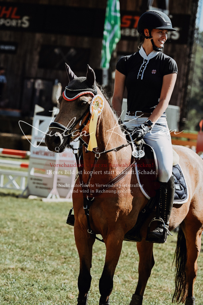 DSC_6201 | Pferde- und Turnierfotografie in Westsachsen. Pferdeportraits, Auftragszeichnungen und intuitive Kunst.